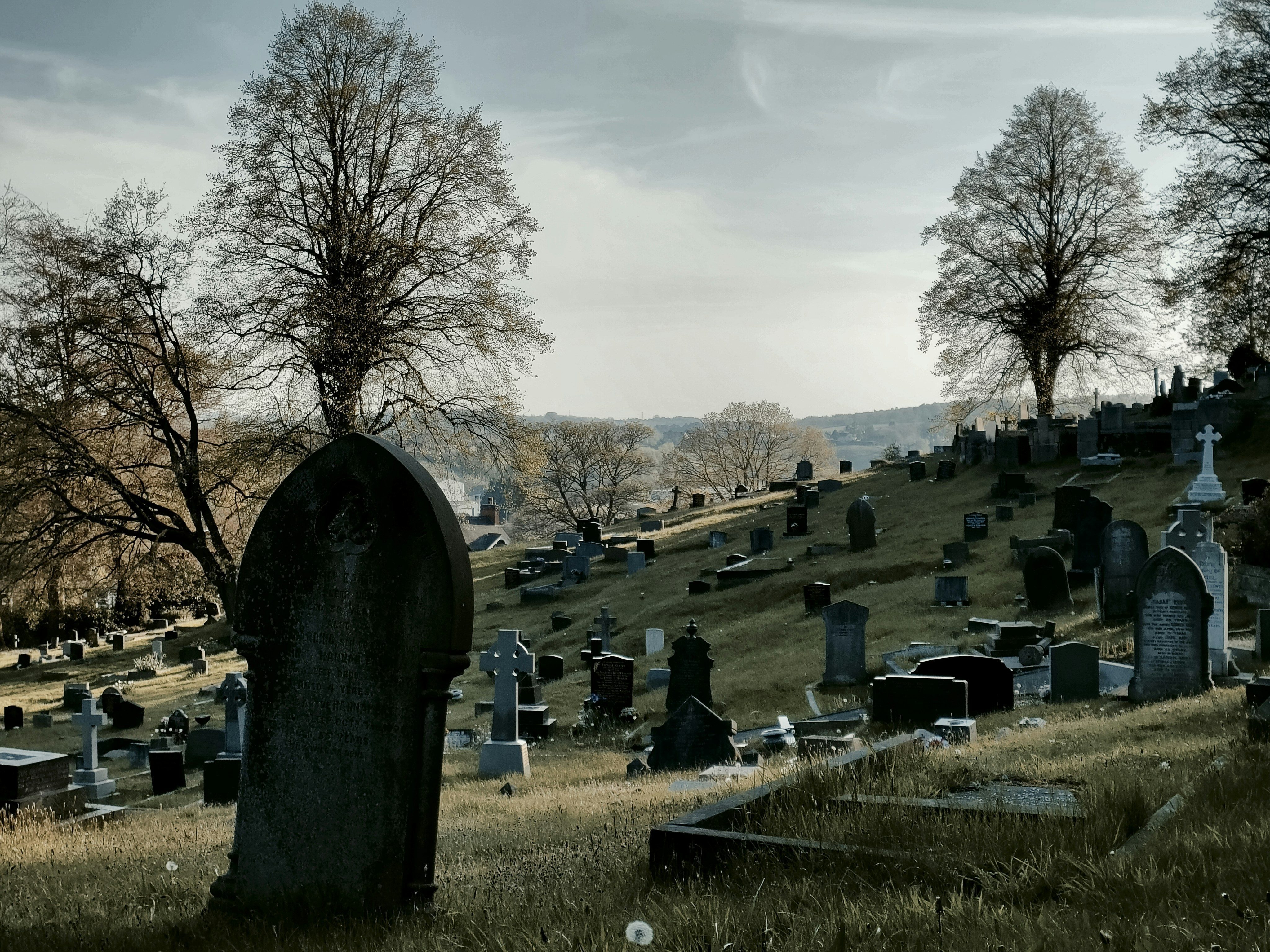 Hilly cemetery with numerous gravestones and leafless trees under a cloudy sky.