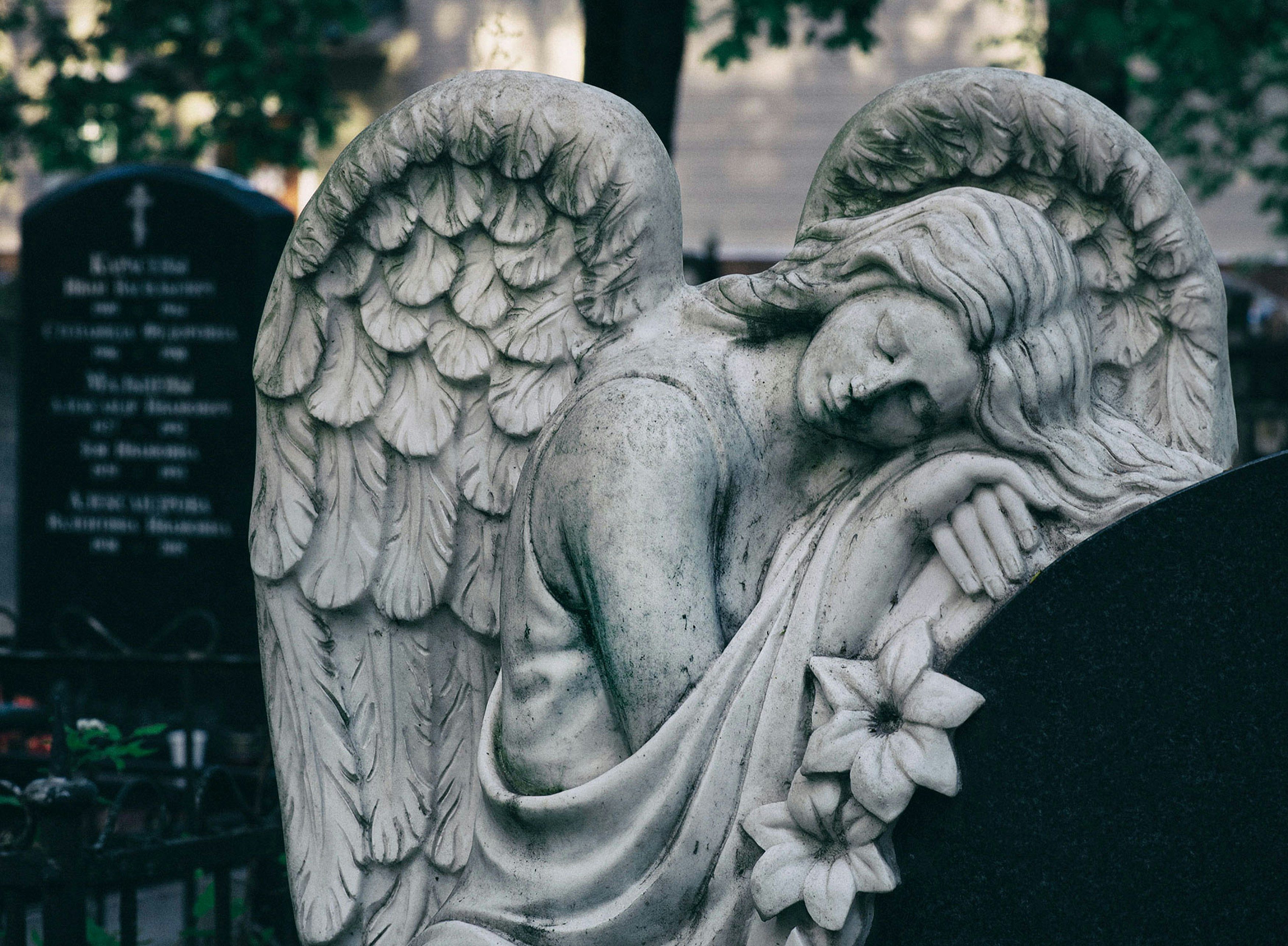 Close-up of a stone statue of a sleeping angel with detailed wings resting its head on a black gravestone with carved flowers in a cemetery.