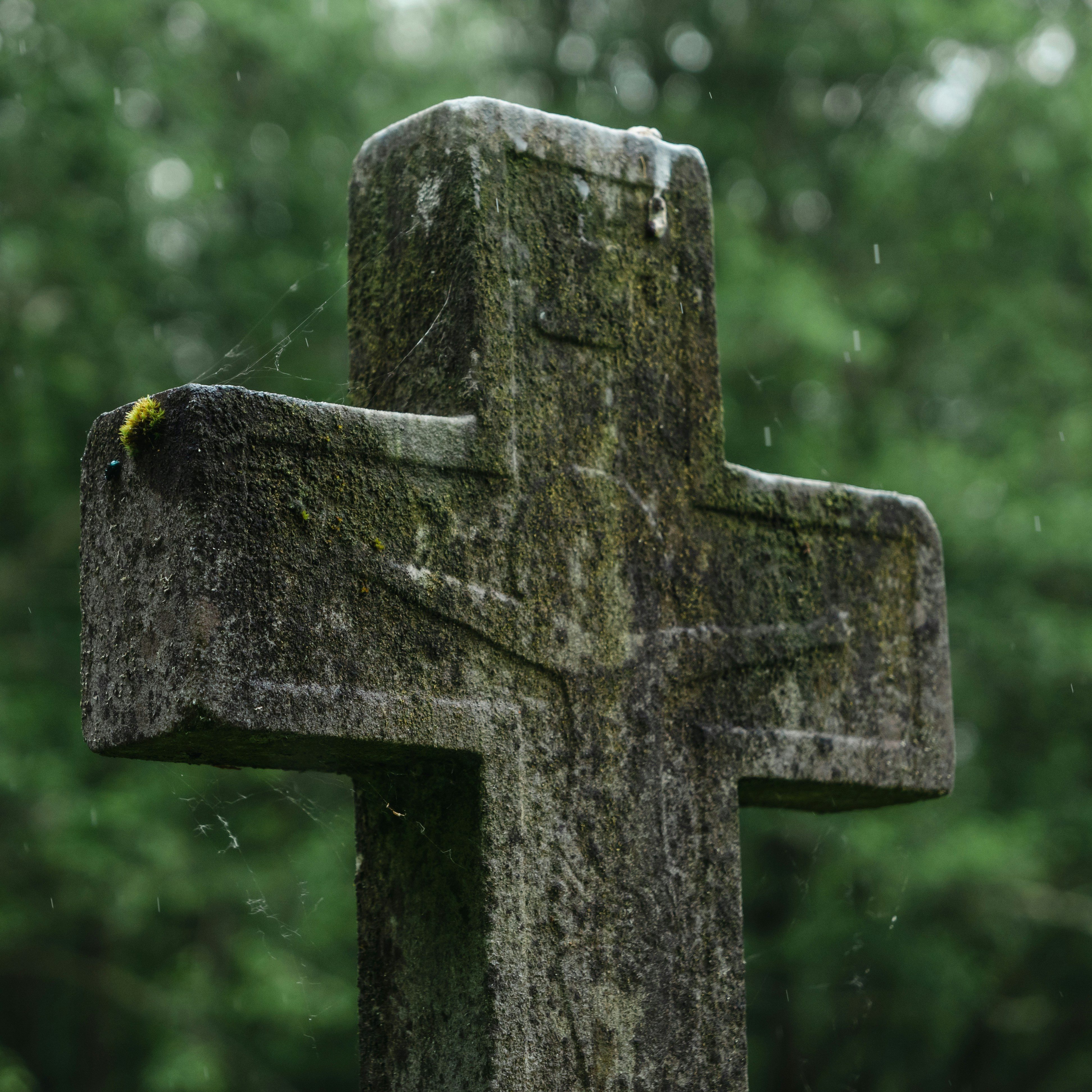 Moss-covered stone cross with a weathered carved figure, set against a blurred green background in the rain.